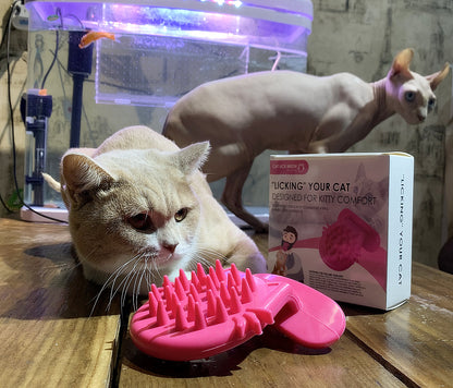 Surprise Kitty Grooming Gift